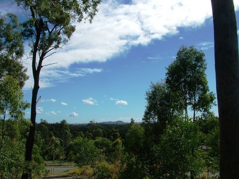 11 Guara Grove East, Pimpama QLD 4209