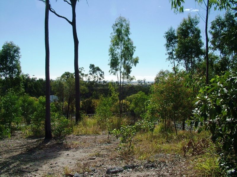 11 Guara Grove East, Pimpama QLD 4209