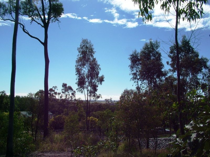 11 Guara Grove East, Pimpama QLD 4209