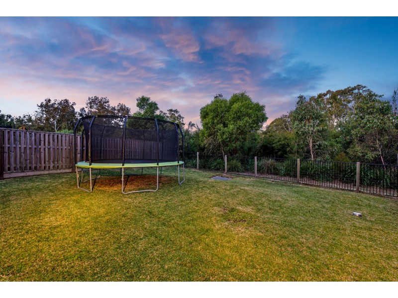 38 Bailey Court, Ormeau QLD 4208