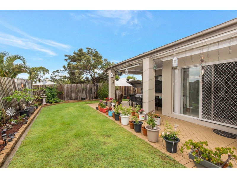 16 Elmore Street, Ormeau QLD 4208