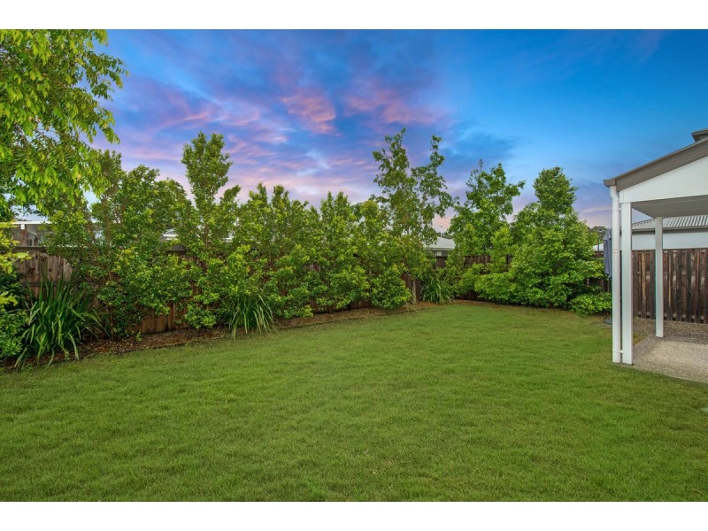 46 Baldwin Crescent, Pimpama QLD 4209