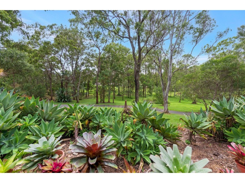 16 Doherty Court, Ormeau QLD 4208