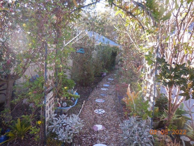 110 Halfway Drive, Ormeau QLD 4208