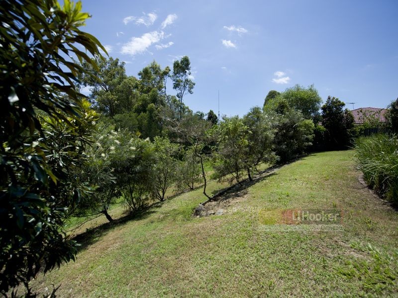 19 Lucas Crescent, Ormeau Hills QLD 4208