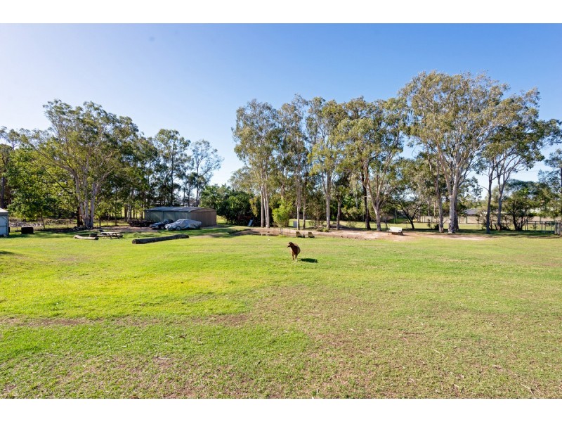 41 Winfield Road, Ormeau QLD 4208