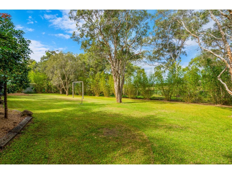 53 Guara Grove, Pimpama QLD 4209