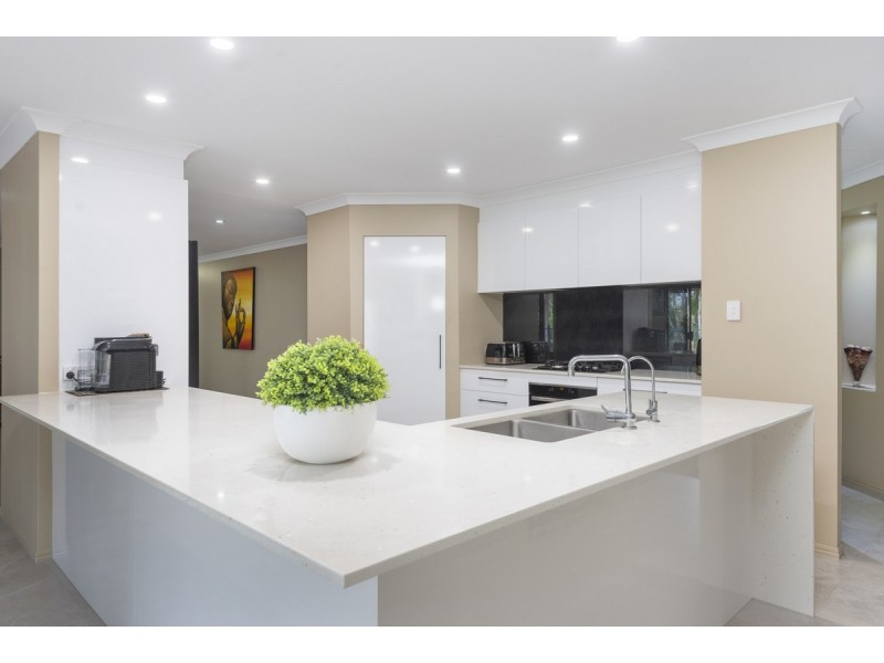 53 Guara Grove, Pimpama QLD 4209