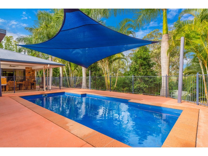 53 Guara Grove, Pimpama QLD 4209