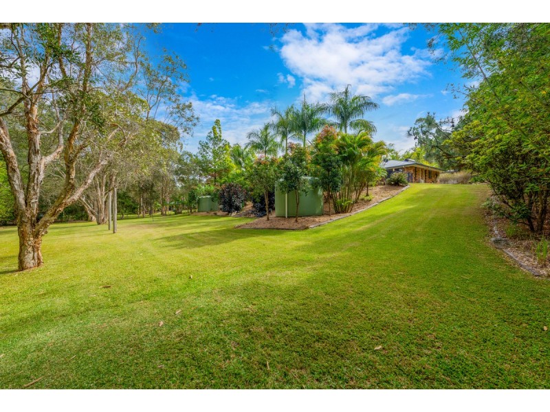 53 Guara Grove, Pimpama QLD 4209