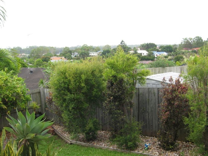 29 Stanfield Drive, Upper Coomera QLD 4209