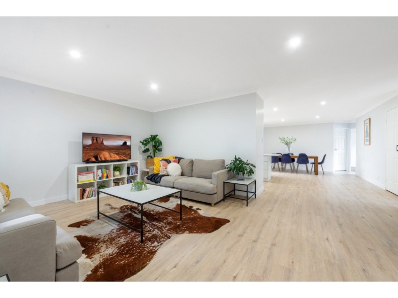 179 Pascoe Road, Ormeau QLD 4208