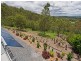 53 Oppermann Drive, Ormeau QLD 4208
