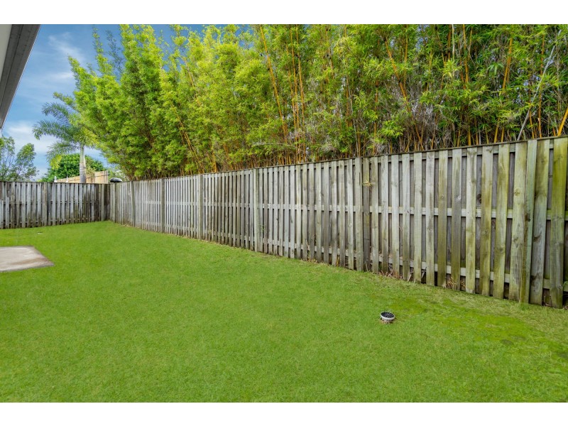 17 Terang Court, Ormeau QLD 4208