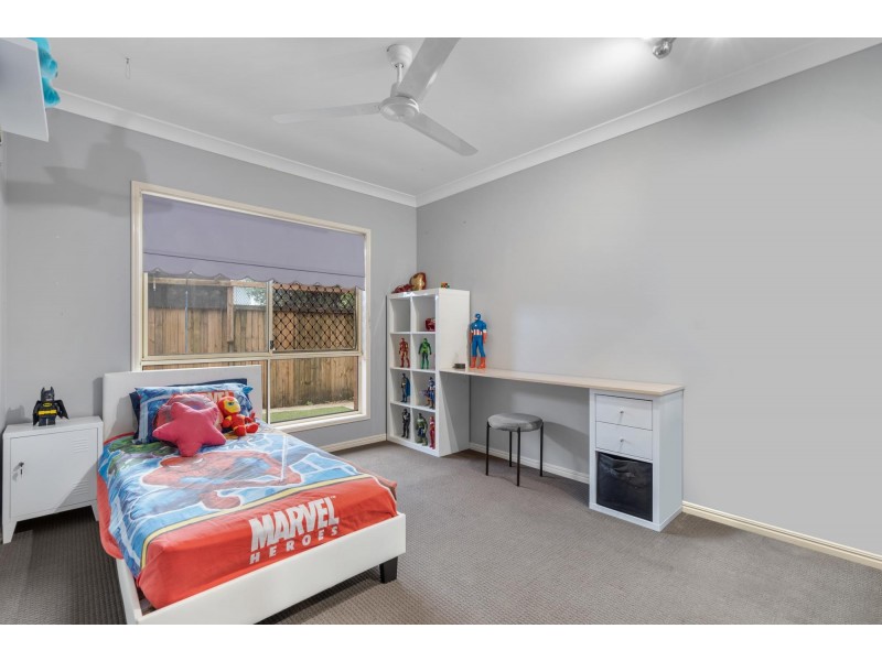 17 Carallia Court, Ormeau QLD 4208