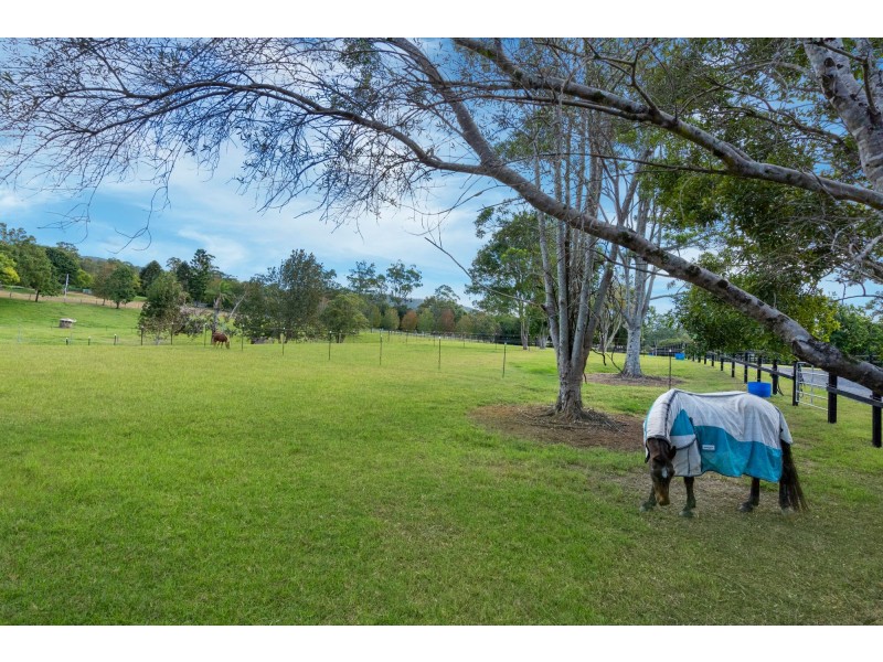 17 Ruffles Road, Willow Vale QLD 4209