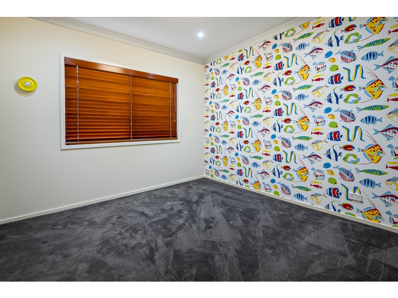 8 Elvire Street, Ormeau Hills QLD 4208