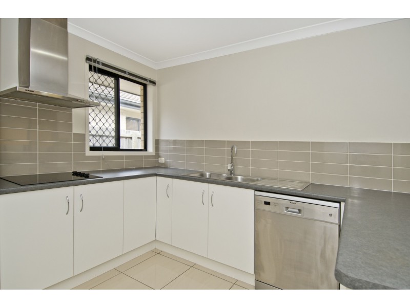 7 Wollombi Avenue, Ormeau Hills QLD 4208