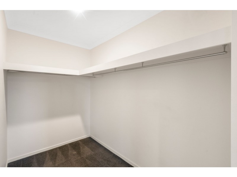 34 Hunter Street, Ormeau Hills QLD 4208