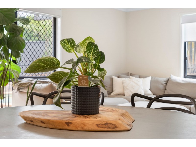 24 Johnson Parade, Ormeau Hills QLD 4208