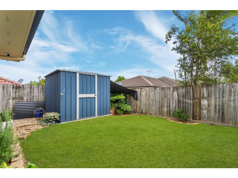 79 Doolan Street, Ormeau QLD 4208