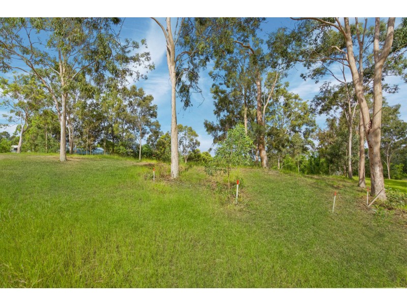 87 Guara Grove, Pimpama QLD 4209