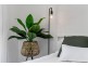 23 Summerlea Crescent, Ormeau QLD 4208