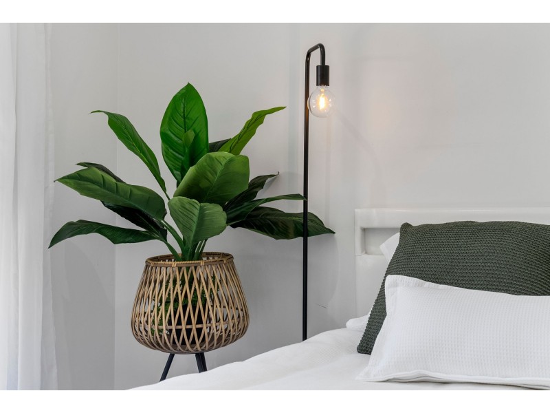 23 Summerlea Crescent, Ormeau QLD 4208