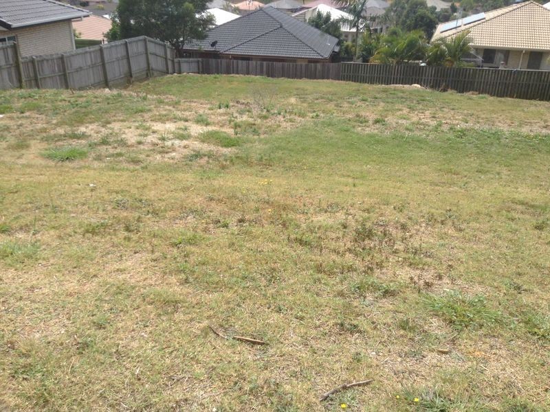 42 Bluetail Crescent, Upper Coomera QLD 4209