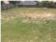 42 Bluetail Crescent, Upper Coomera QLD 4209