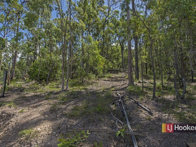 102 Guara Grove, Pimpama QLD 4209