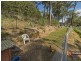 46 Guara Grove, Pimpama QLD 4209