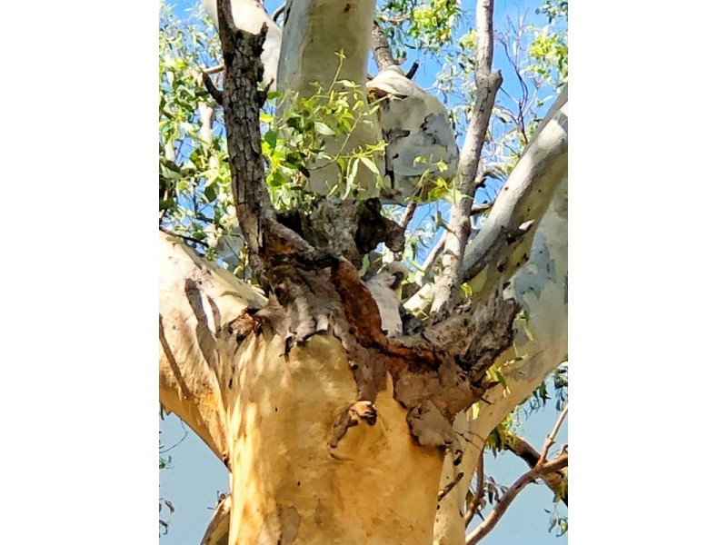 36 victoria parade south, Coochiemudlo Island QLD 4184