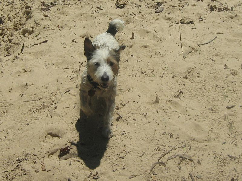 19 Perulpa Street, Coochiemudlo Island QLD 4184