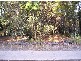 9 Elizabeth St, Coochiemudlo Island QLD 4184