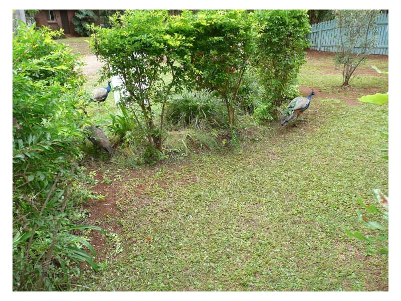 4 Aminya, Coochiemudlo Island QLD 4184