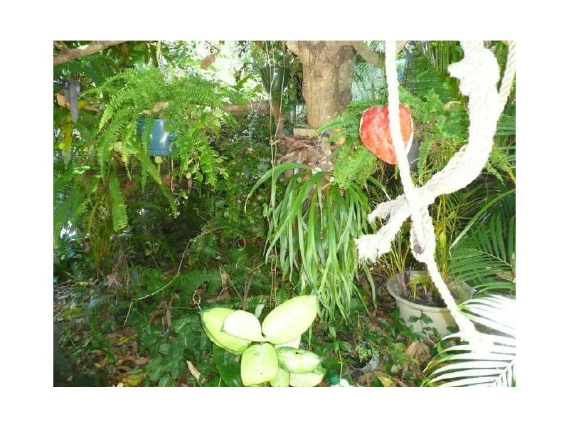 8 Orange Grove St, Coochiemudlo Island QLD 4184