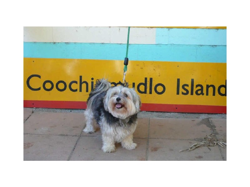 8 Orange Grove St, Coochiemudlo Island QLD 4184