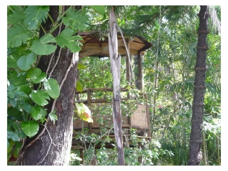 19 Ooyan St, Coochiemudlo Island QLD 4184