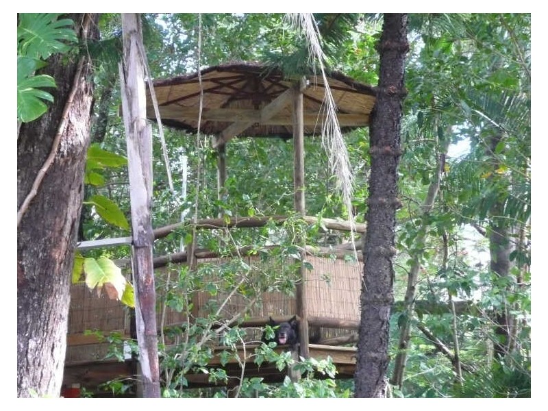 19 Ooyan St, Coochiemudlo Island QLD 4184