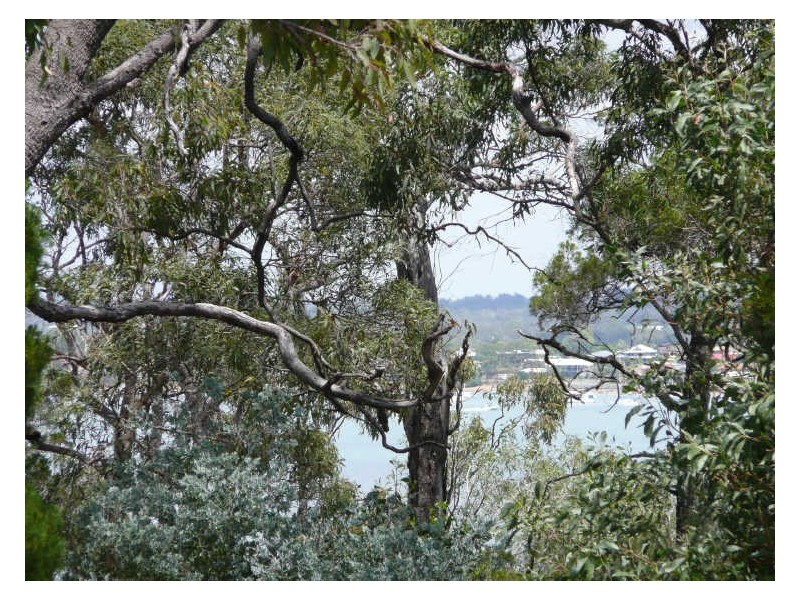 Coochiemudlo Island QLD 4184