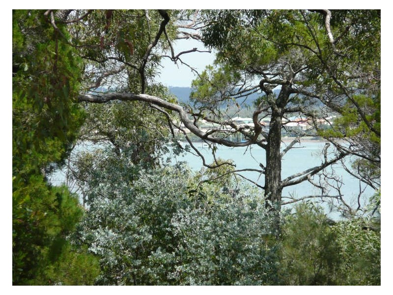 Coochiemudlo Island QLD 4184