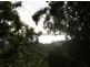 2 Pandanus, Coochiemudlo Island QLD 4184