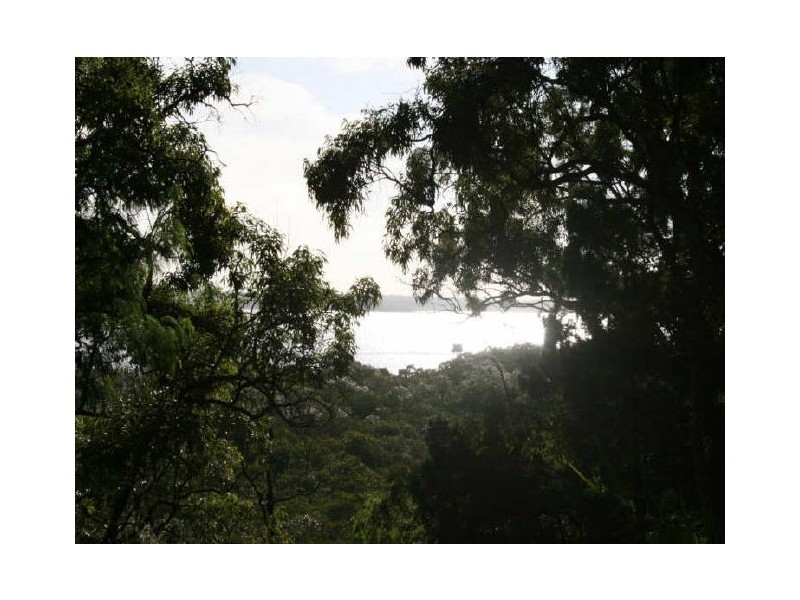 2 Pandanus, Coochiemudlo Island QLD 4184