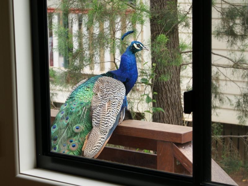 12 marroo  street, Coochiemudlo Island QLD 4184