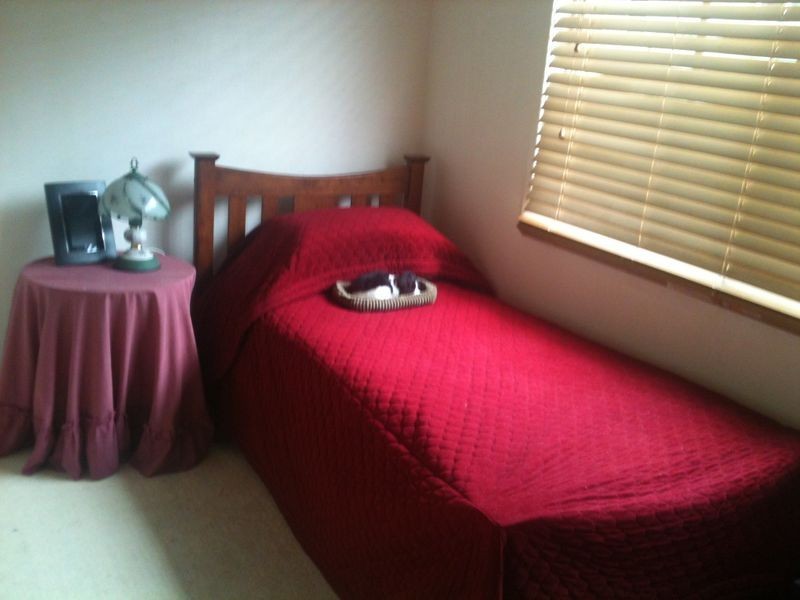 37 Shanahan Street, Redland Bay QLD 4165