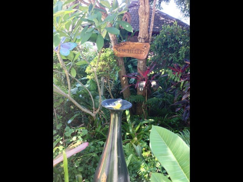 35 Shirley, Coochiemudlo Island QLD 4184