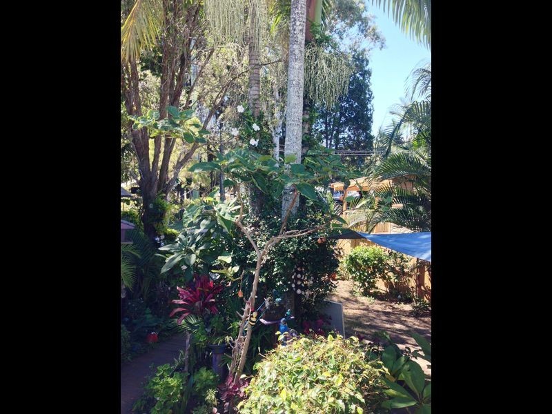 35 Shirley, Coochiemudlo Island QLD 4184