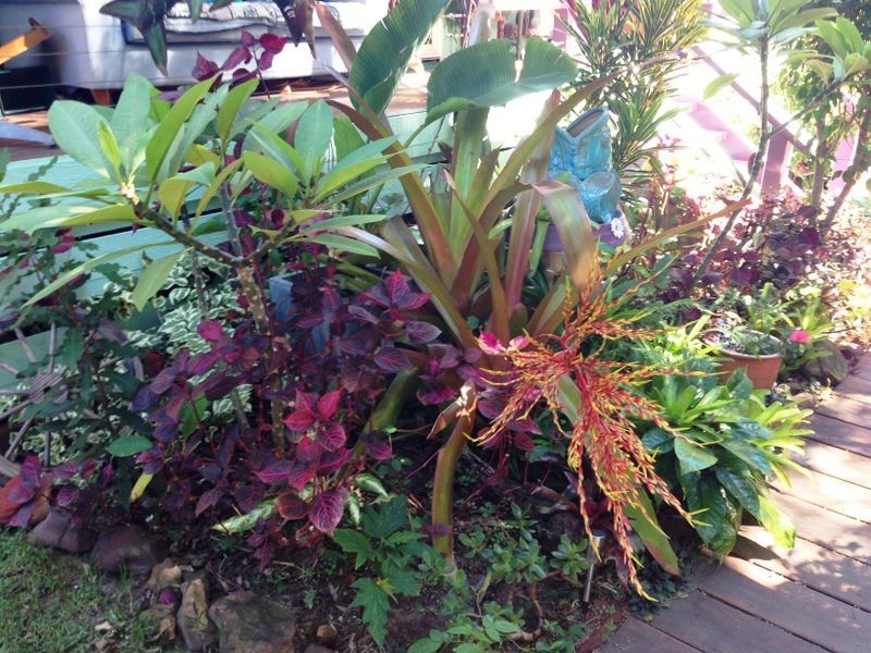 35 Shirley, Coochiemudlo Island QLD 4184