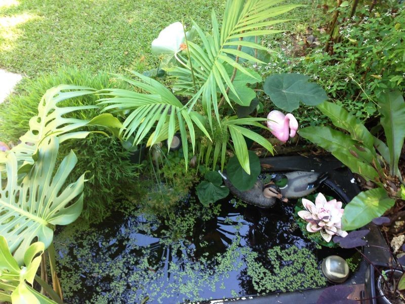 35 Shirley, Coochiemudlo Island QLD 4184